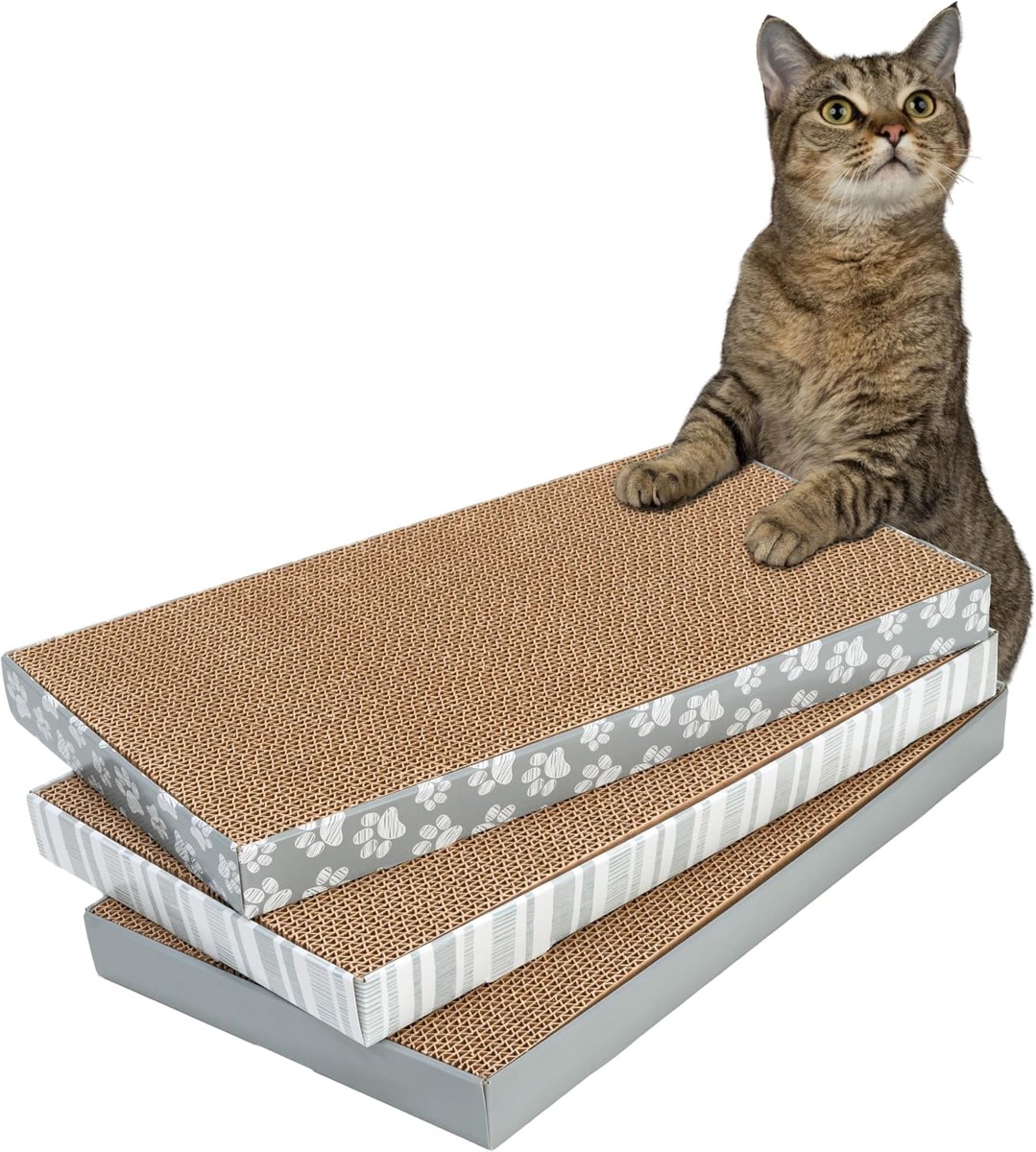 Scratcher Pad Packs