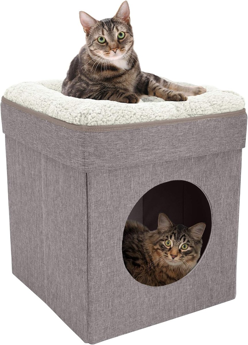 Kitty City Indoor Cat Cube with Lounging Top