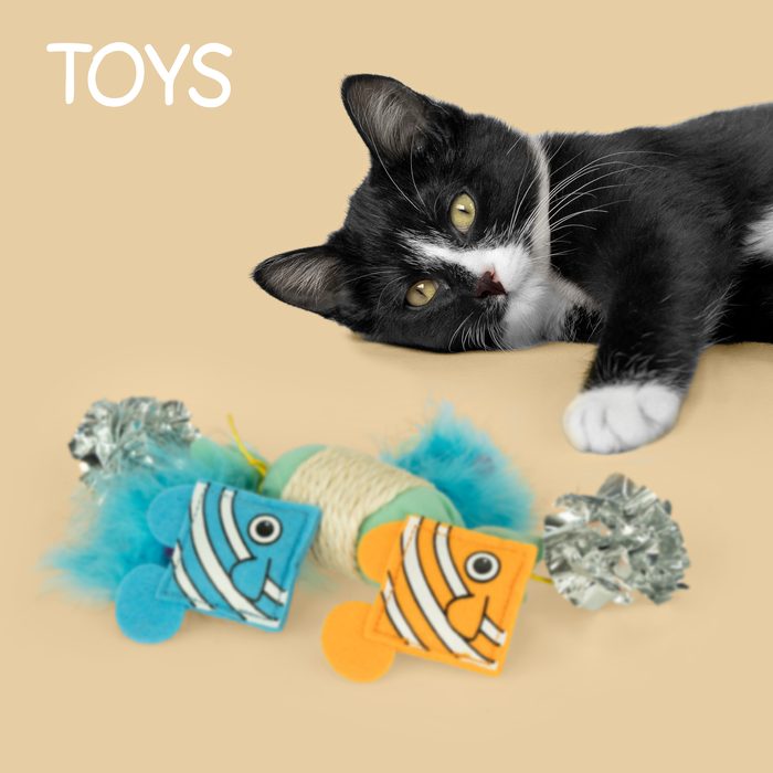 Kitty City cat toys