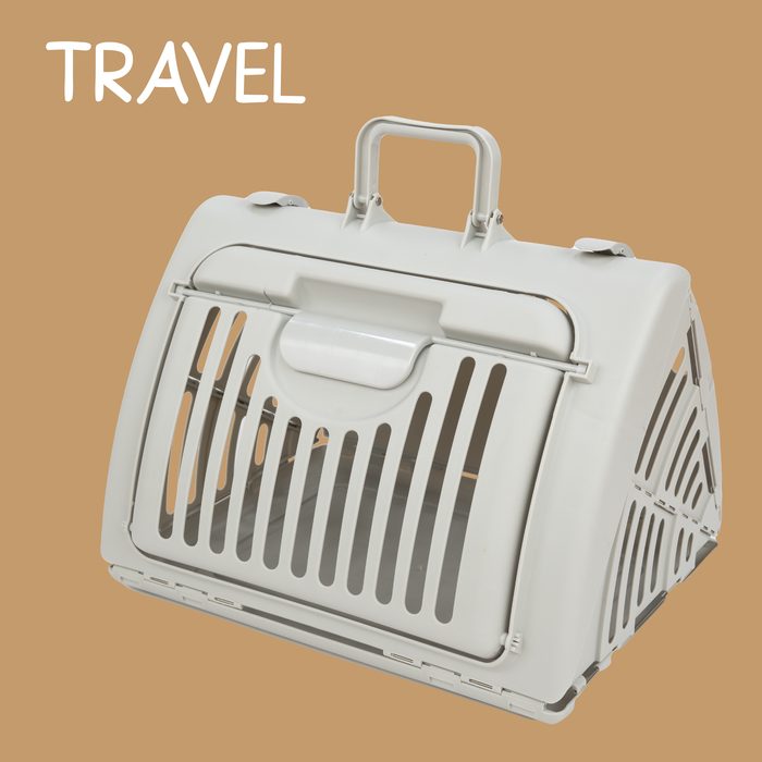 Cat in a SportPet carrier